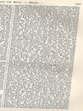 k-Welschkorn Mais - aus Meyers Lexikon 1890 zweite Hälfte.